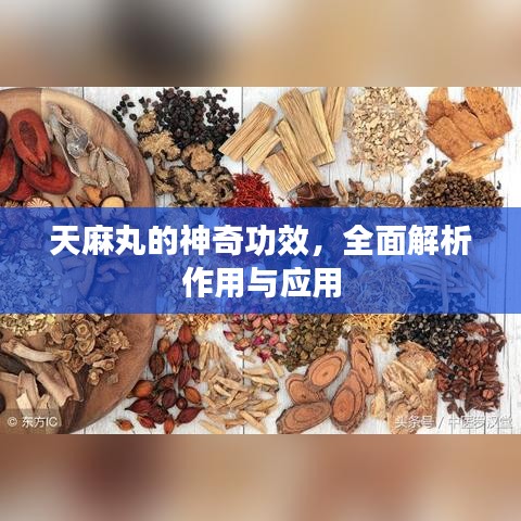 天麻丸的神奇功效，全面解析作用与应用