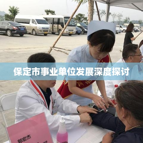 保定市事业单位发展深度探讨