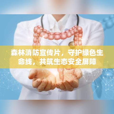 森林消防宣传片，守护绿色生命线，共筑生态安全屏障