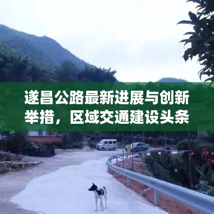 遂昌公路最新进展与创新举措，区域交通建设头条新闻