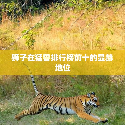 狮子在猛兽排行榜前十的显赫地位