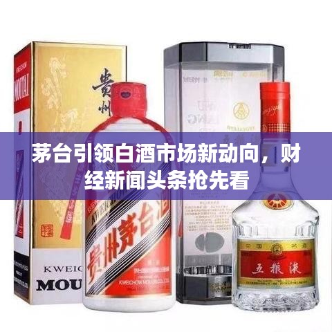 茅台引领白酒市场新动向，财经新闻头条抢先看