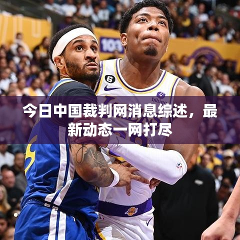 今日中国裁判网消息综述，最新动态一网打尽