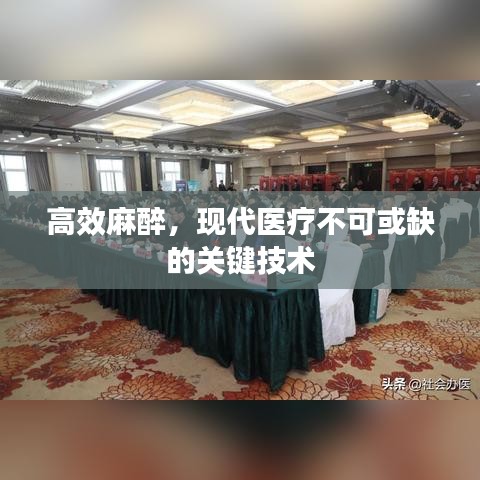 高效麻醉，现代医疗不可或缺的关键技术