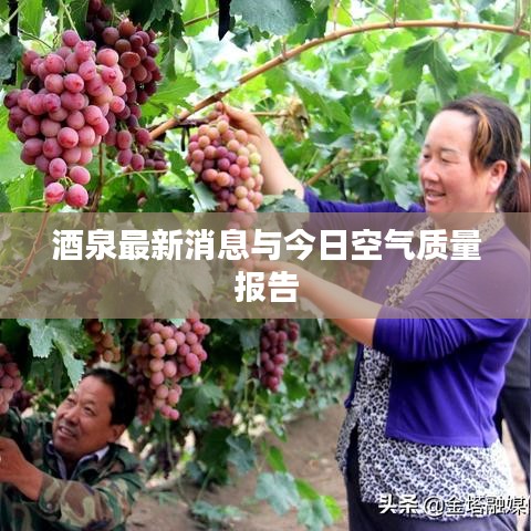 酒泉最新消息与今日空气质量报告