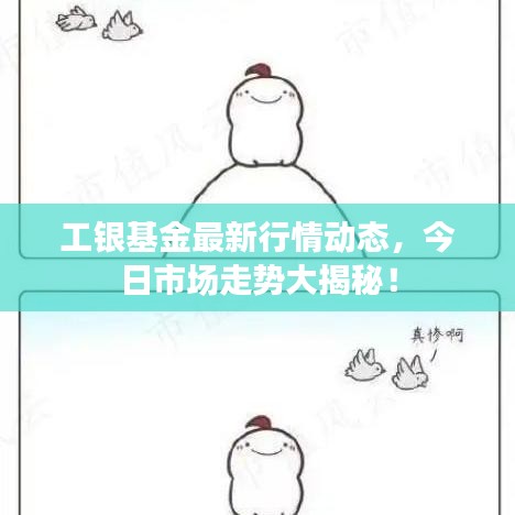 工银基金最新行情动态，今日市场走势大揭秘！