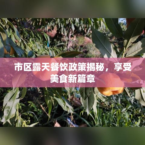 市区露天餐饮政策揭秘，享受美食新篇章