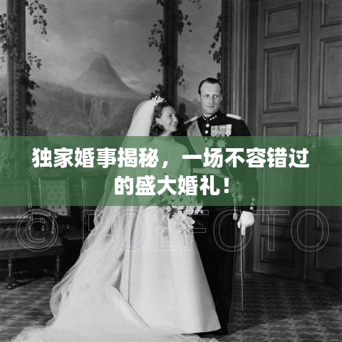 独家婚事揭秘，一场不容错过的盛大婚礼！