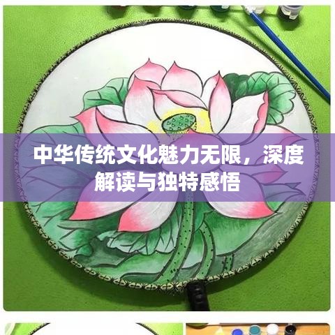 中华传统文化魅力无限，深度解读与独特感悟