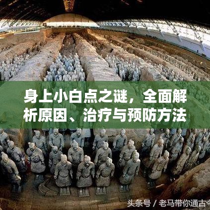 身上小白点之谜，全面解析原因、治疗与预防方法