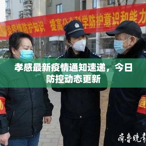 孝感最新疫情通知速递，今日防控动态更新