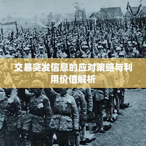 交易突发信息的应对策略与利用价值解析