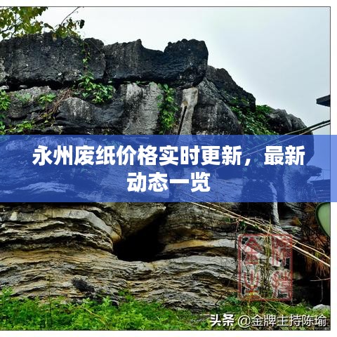 永州废纸价格实时更新，最新动态一览