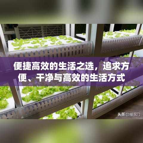 便捷高效的生活之选，追求方便、干净与高效的生活方式