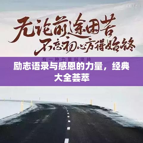 励志语录与感恩的力量，经典大全荟萃