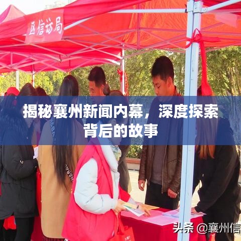 揭秘襄州新闻内幕，深度探索背后的故事