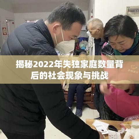 揭秘2022年失独家庭数量背后的社会现象与挑战