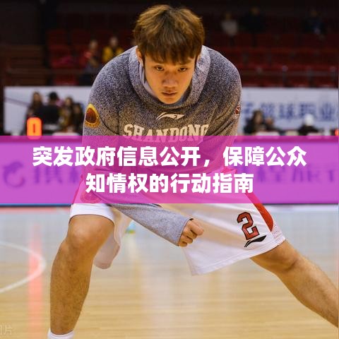 突发政府信息公开，保障公众知情权的行动指南