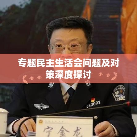 专题民主生活会问题及对策深度探讨