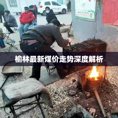 榆林最新煤价走势深度解析