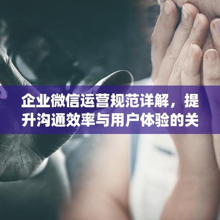 企业微信运营规范详解，提升沟通效率与用户体验的关键要素