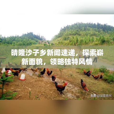 晴隆沙子乡新闻速递，探索崭新面貌，领略独特风情