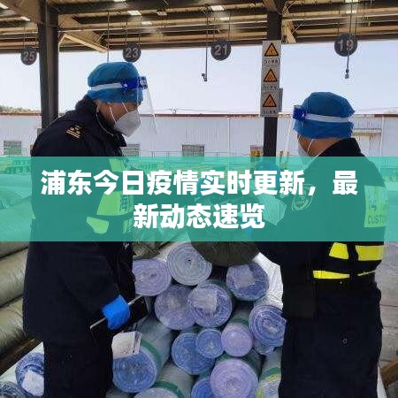 浦东今日疫情实时更新，最新动态速览
