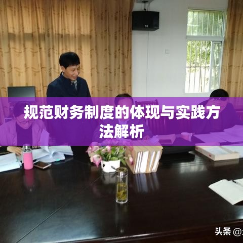 规范财务制度的体现与实践方法解析